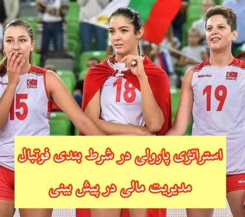 روش پارولی و‍ اصول پایه آن در مدیریت مالی